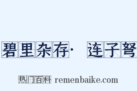 碧里杂存·连子弩是什么意思的图片